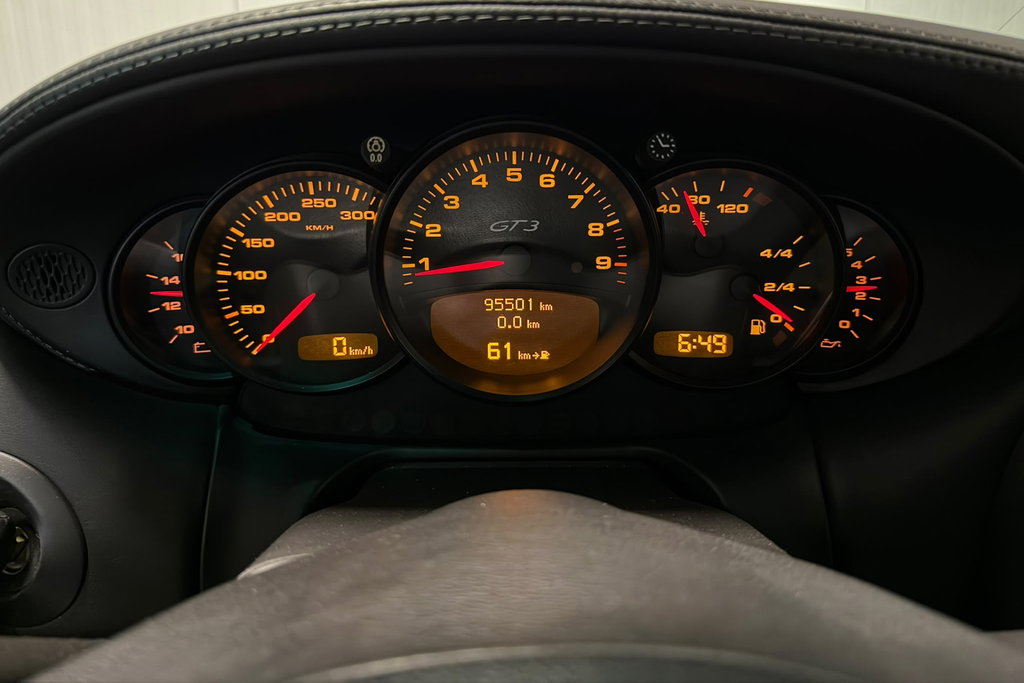 55753023