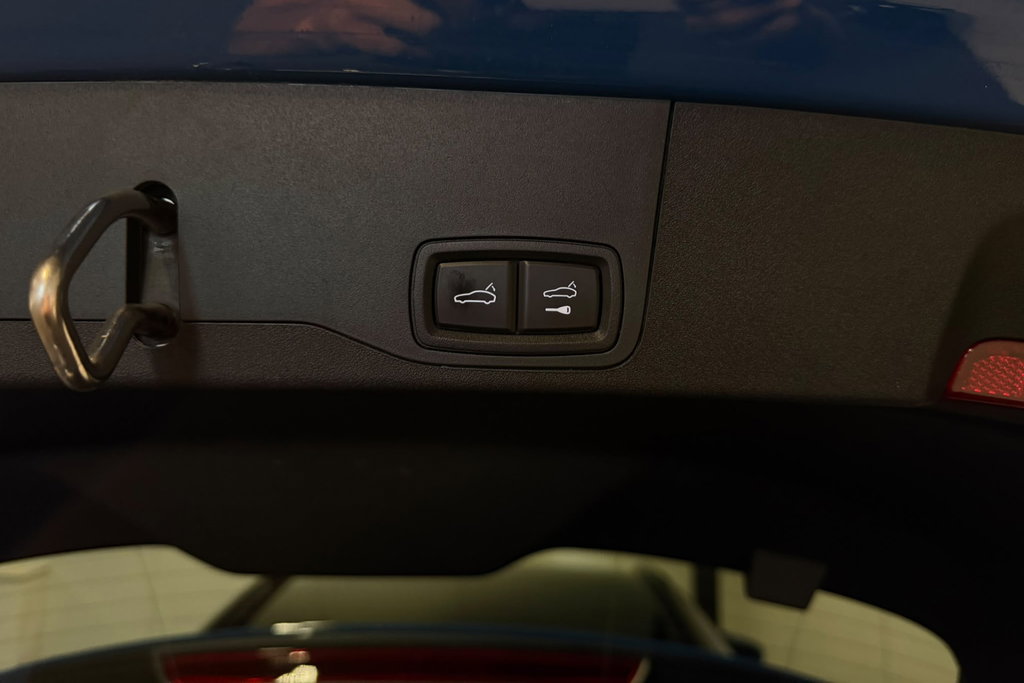 56119454