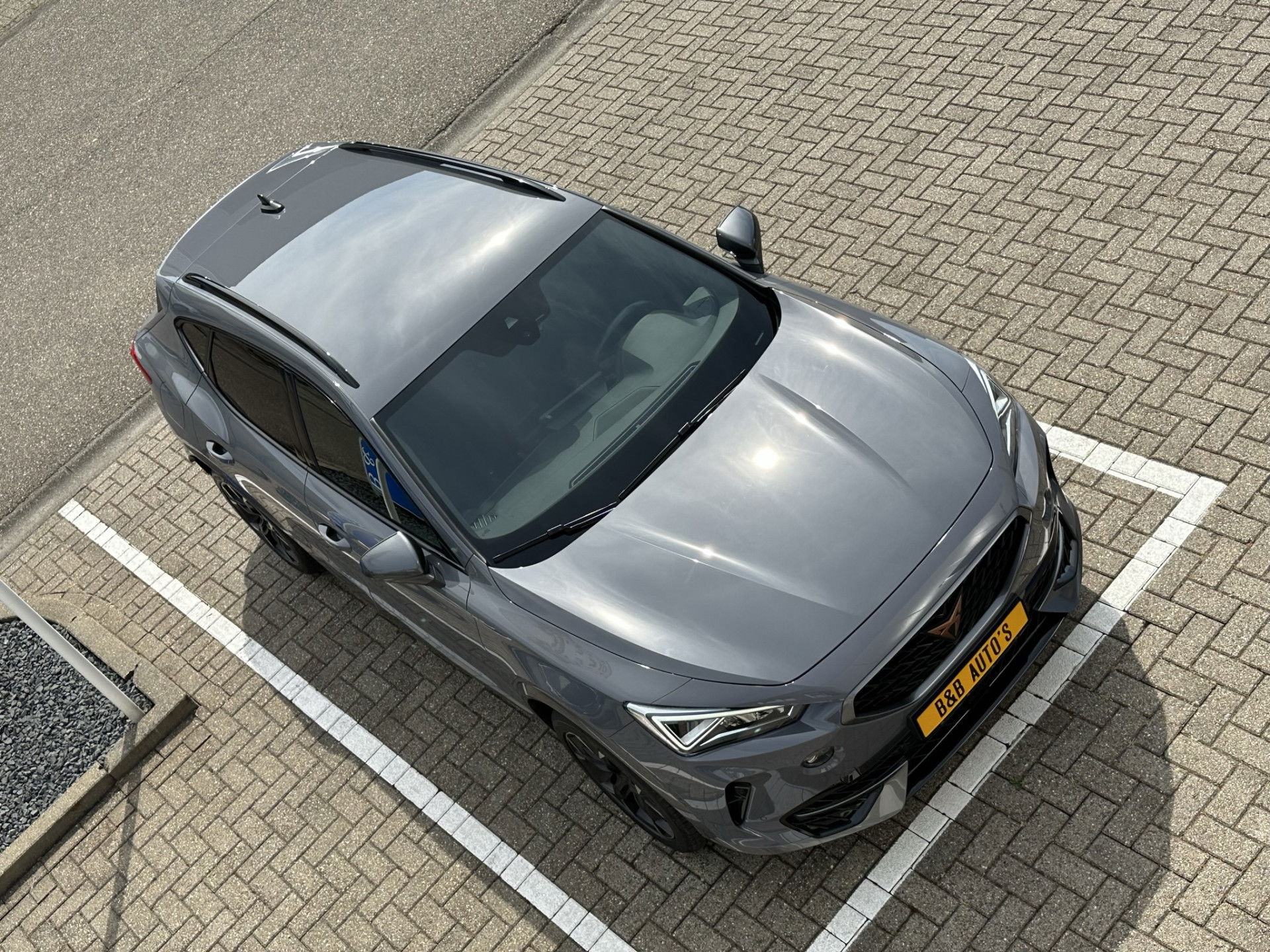 Afbeelding 8