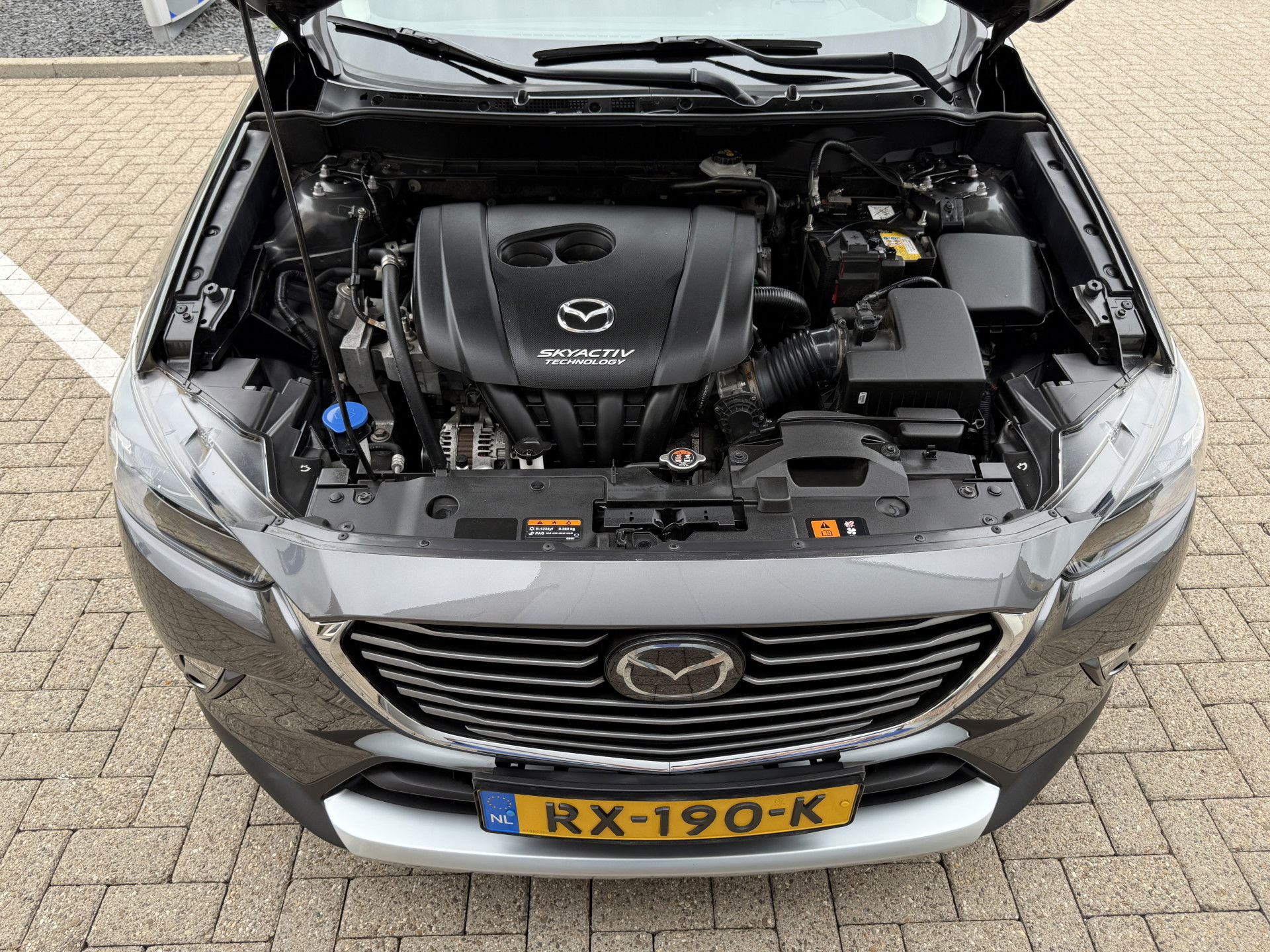 Afbeelding 22