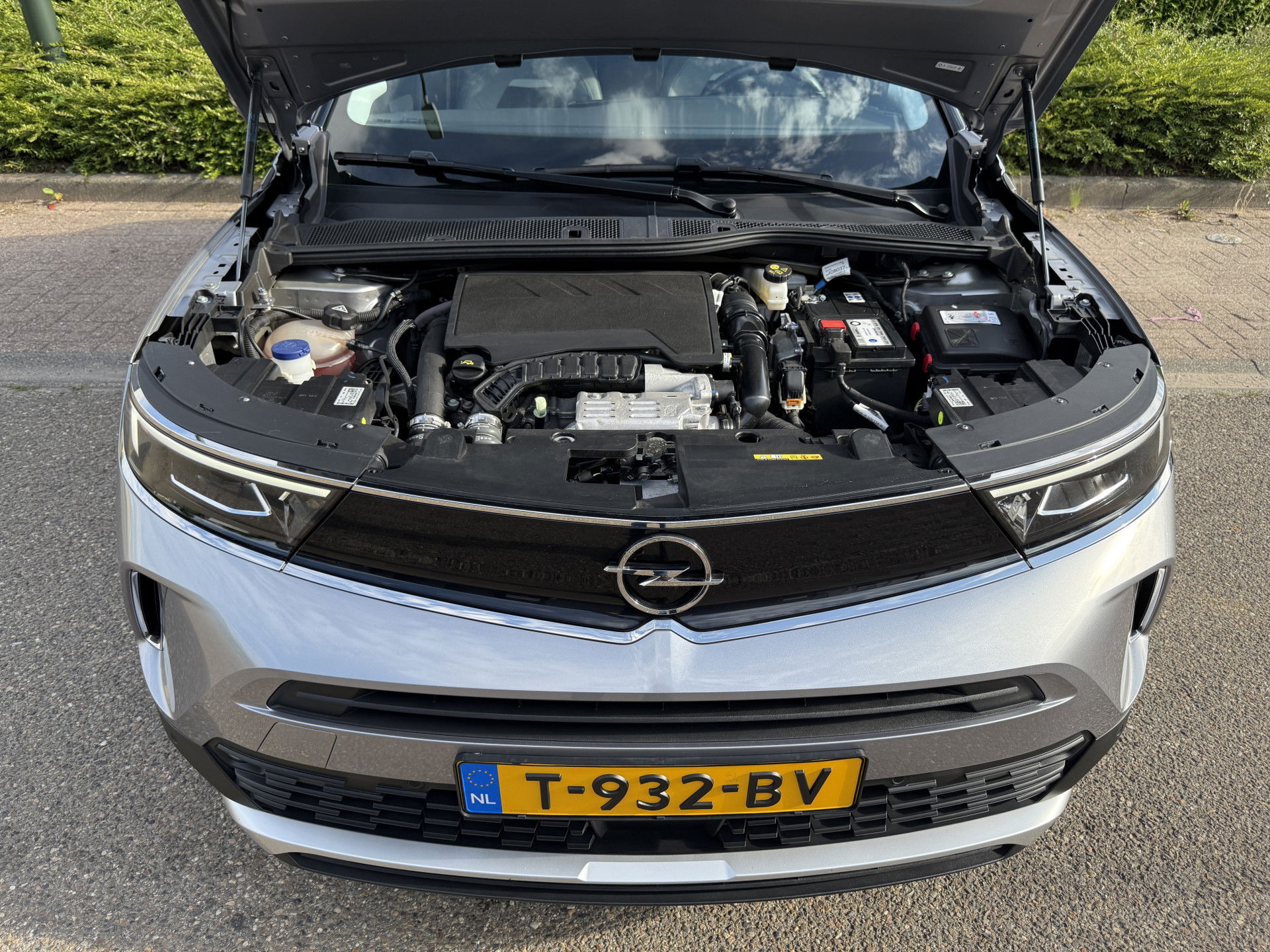 Afbeelding 21