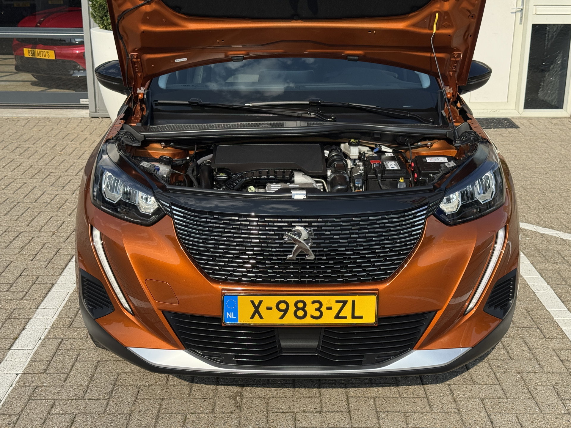 Afbeelding 21