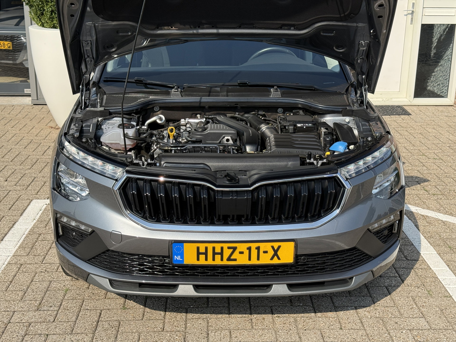 Afbeelding 21
