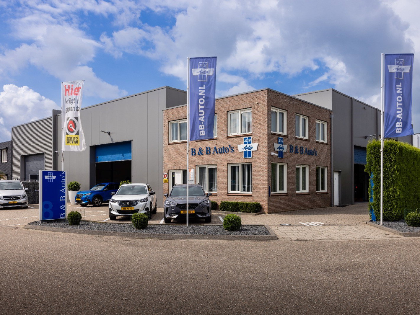 Afbeelding 2
