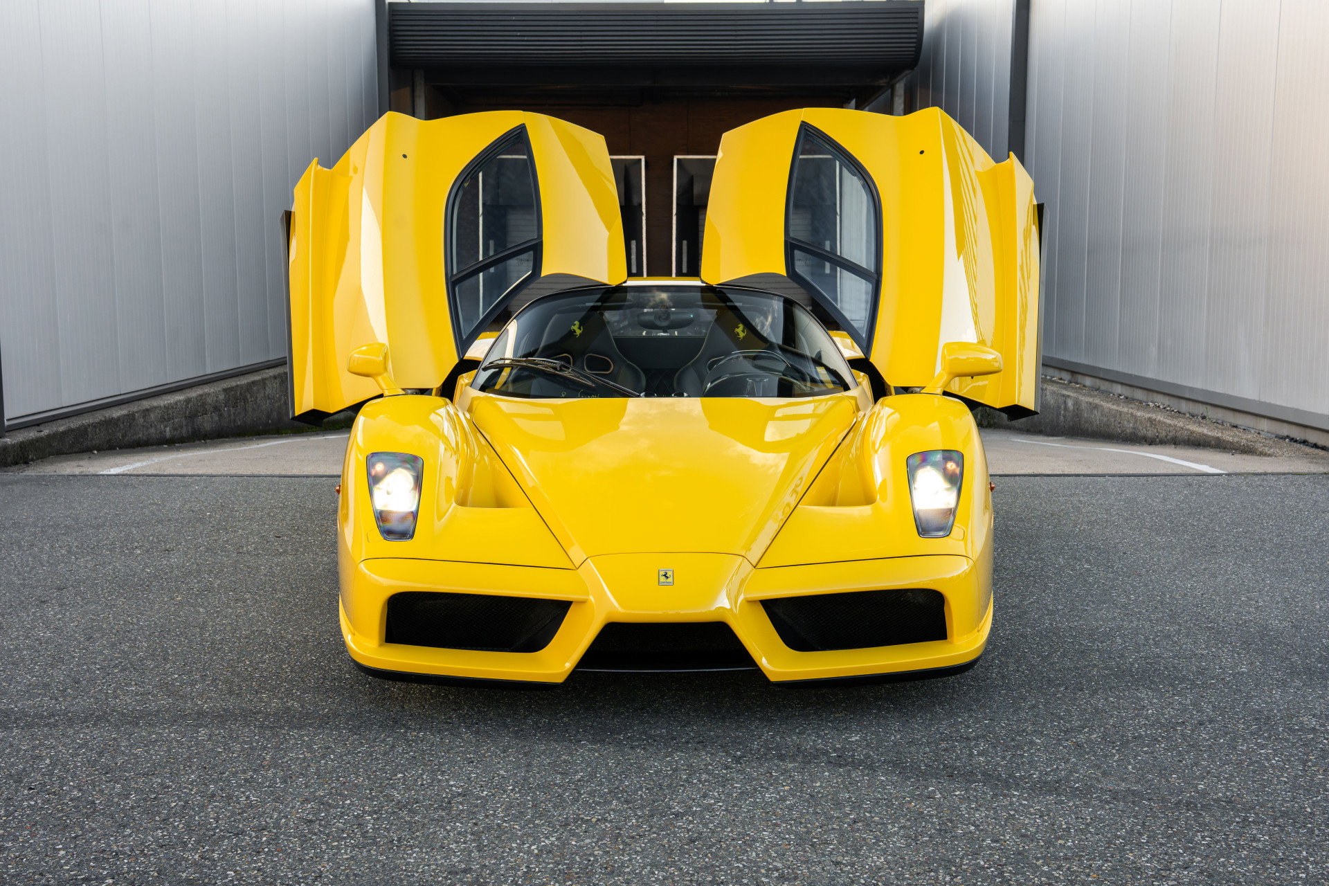 Ferrari Enzo