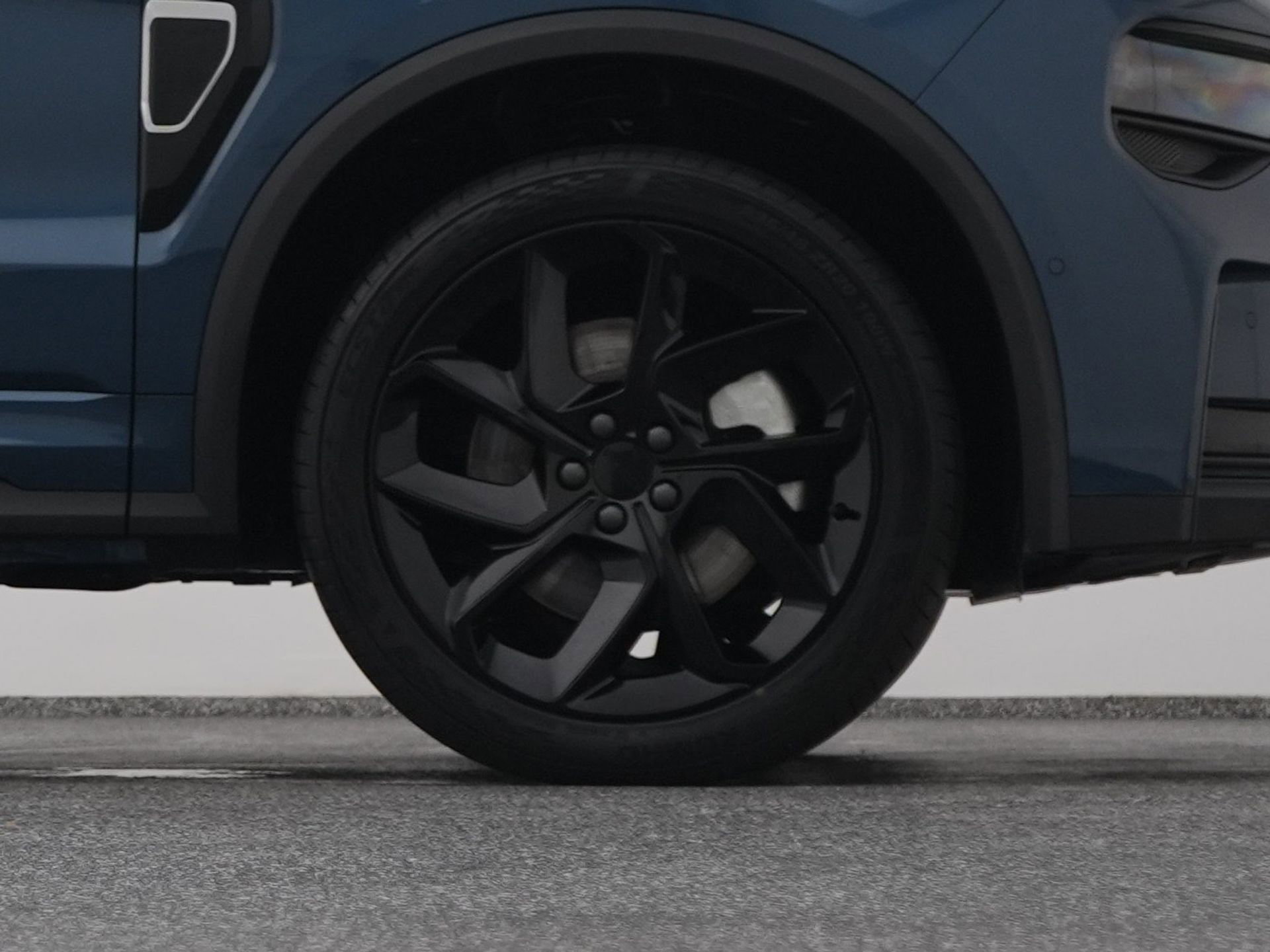 41