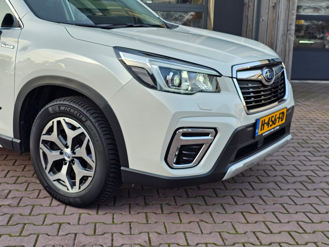 Afbeelding:40