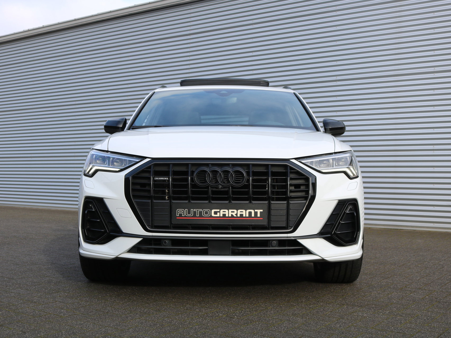 31