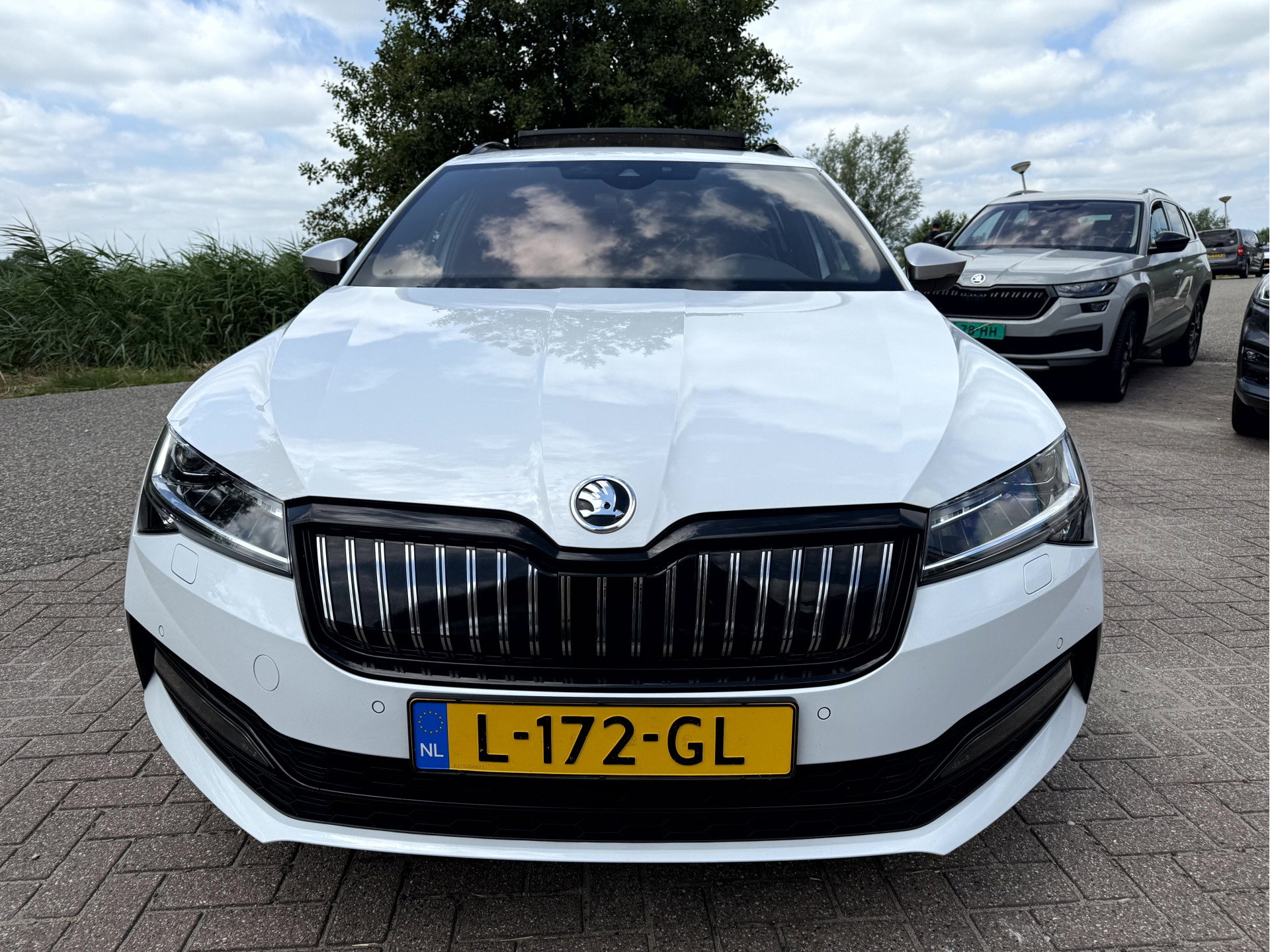 16