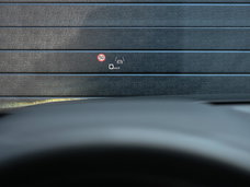 55594207