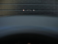56228617