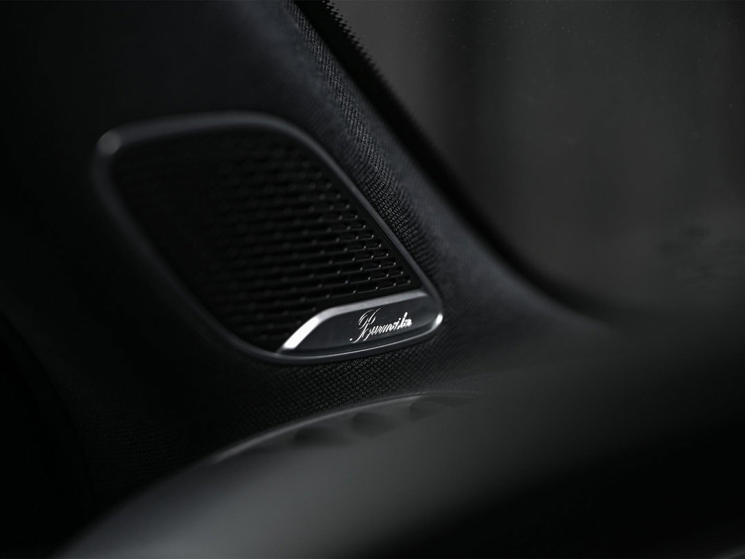 Burmester surround sound system