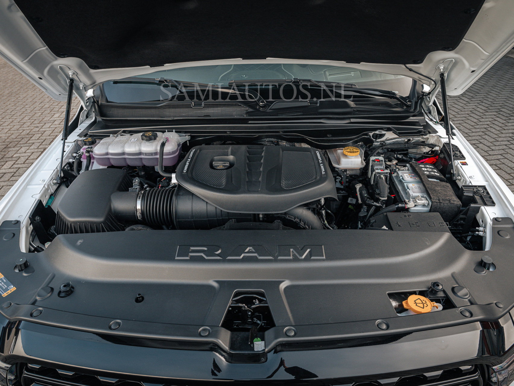80