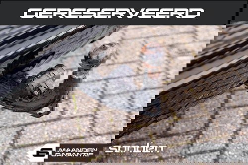 40822621