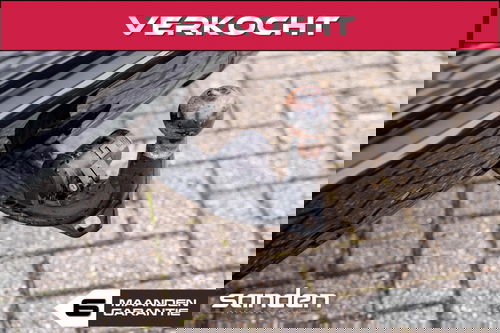 40822621