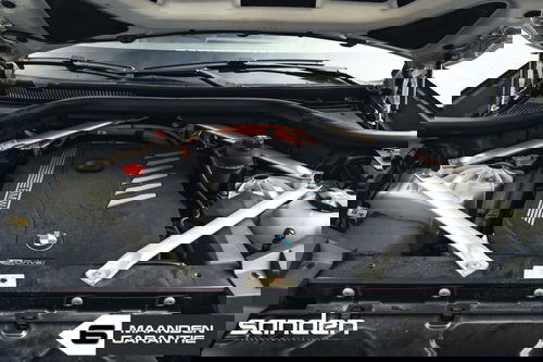45205631