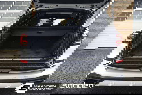 45205631
