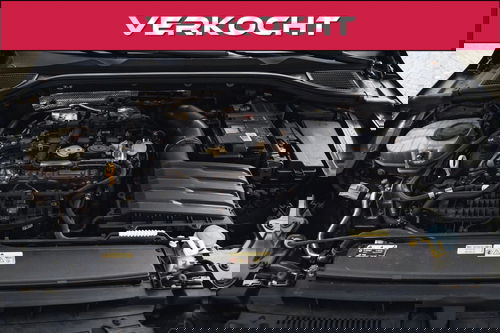 45319905
