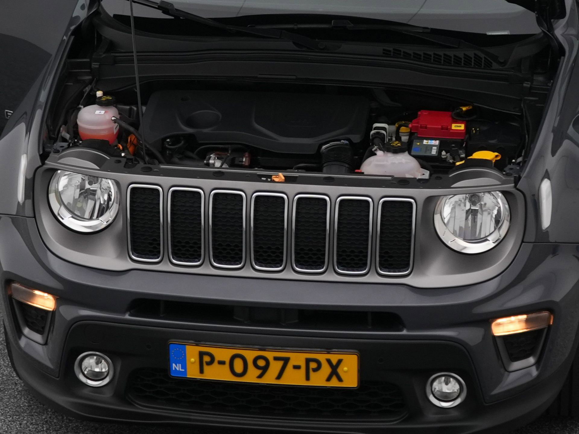 Auto afbeelding: 31