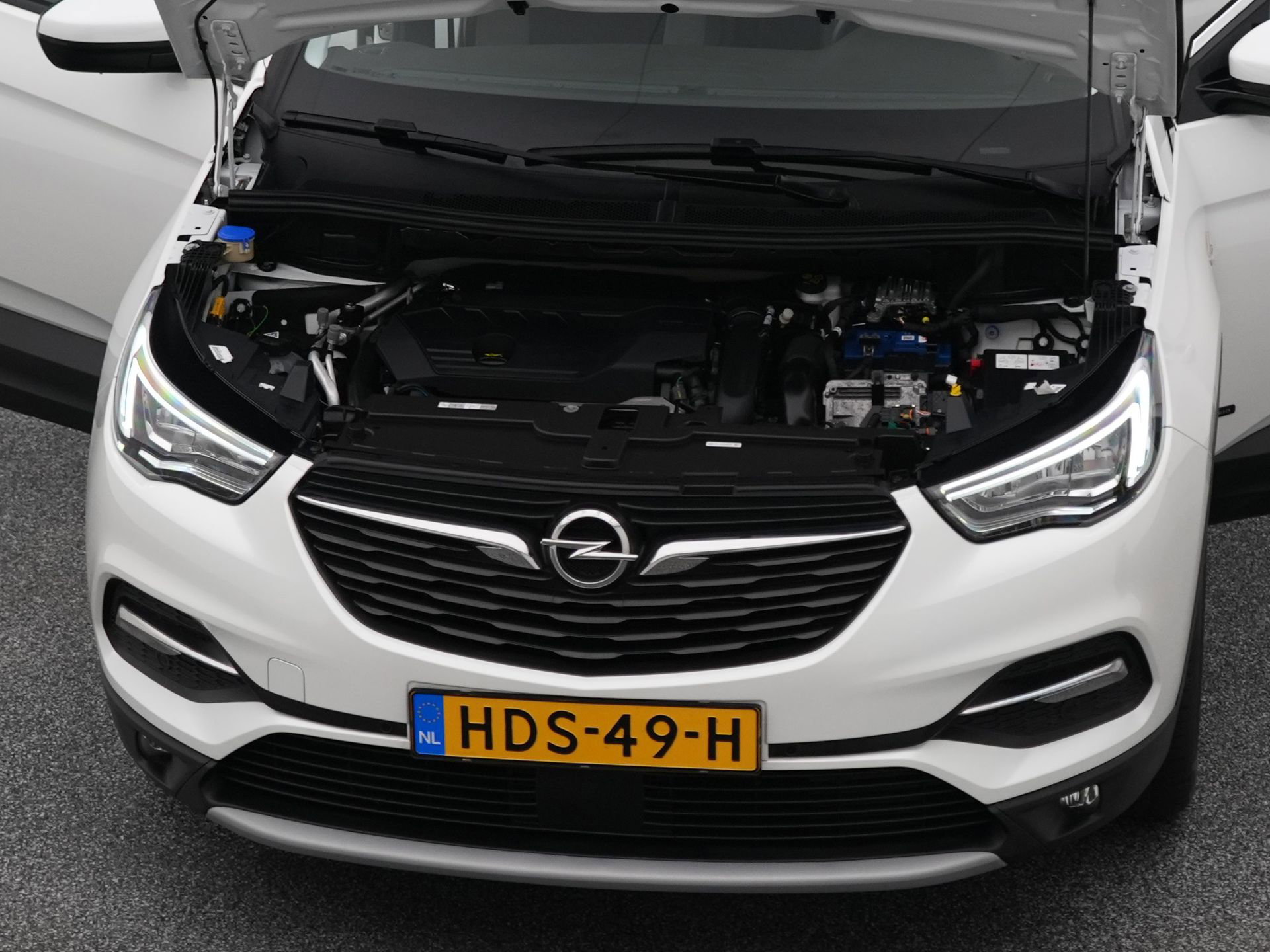 Auto afbeelding: 31