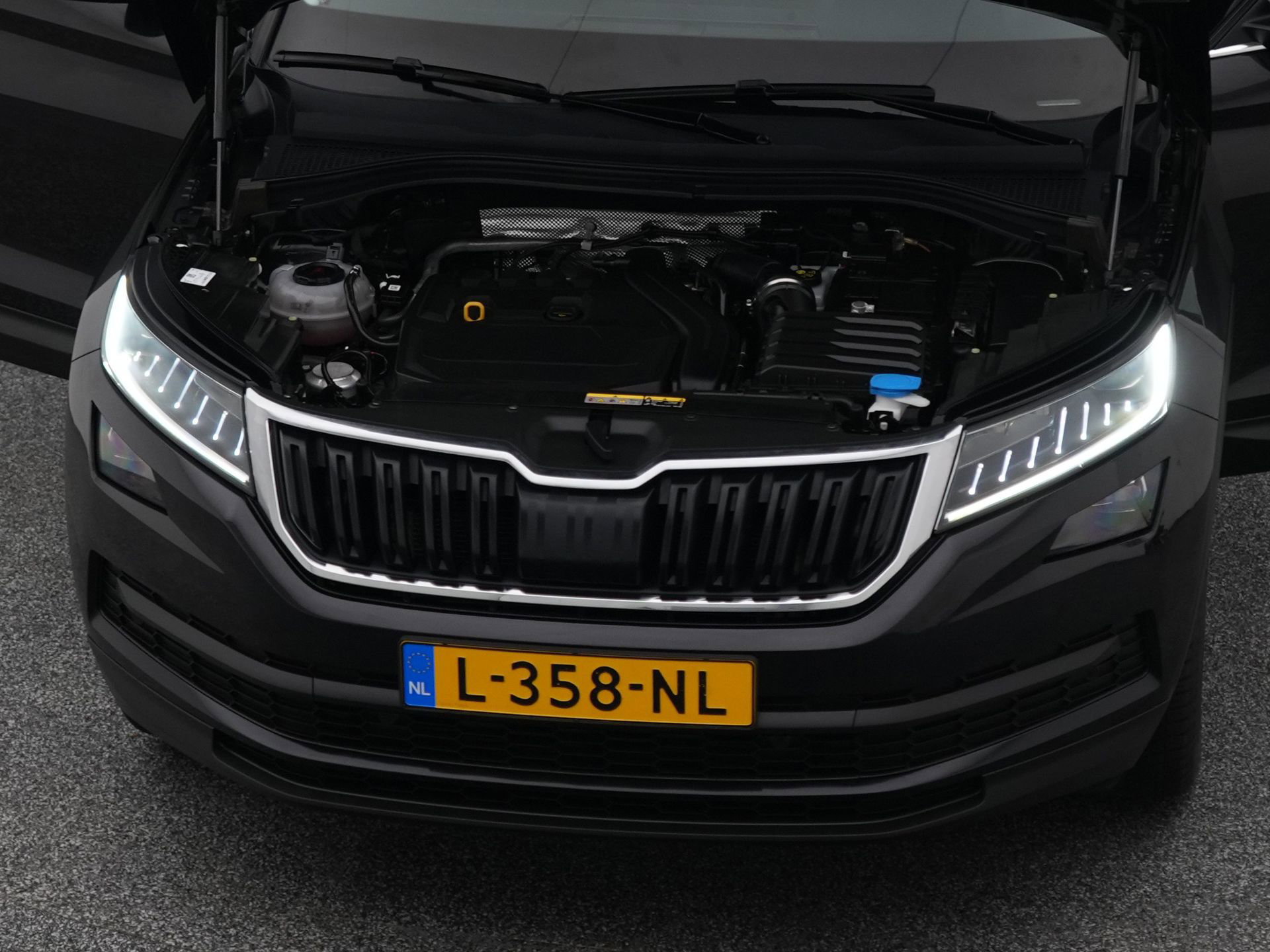 Auto afbeelding: 31