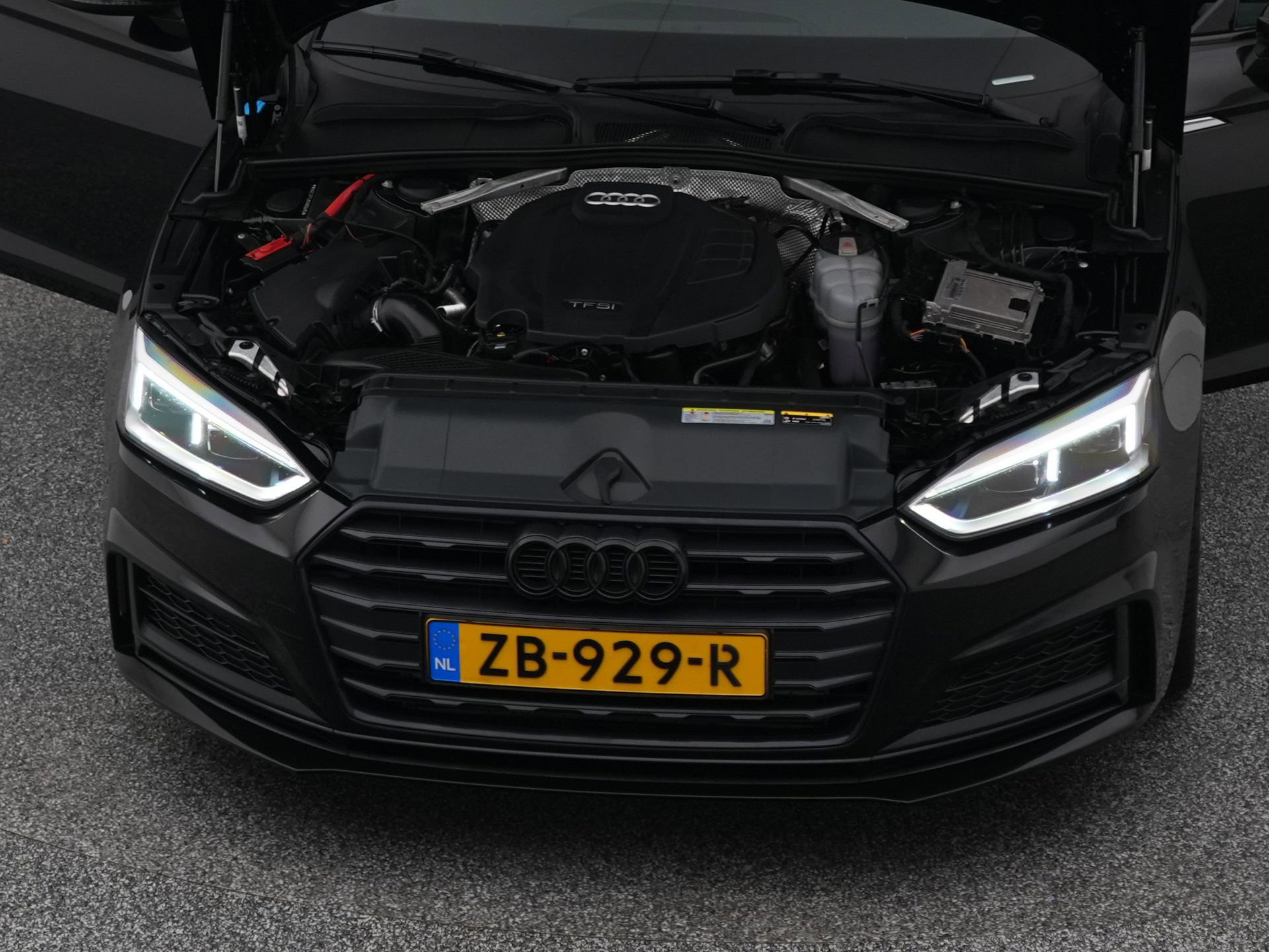 Auto afbeelding: 31