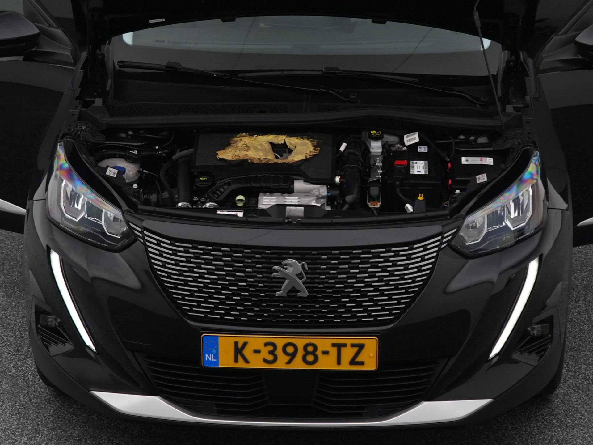 Auto afbeelding: 31