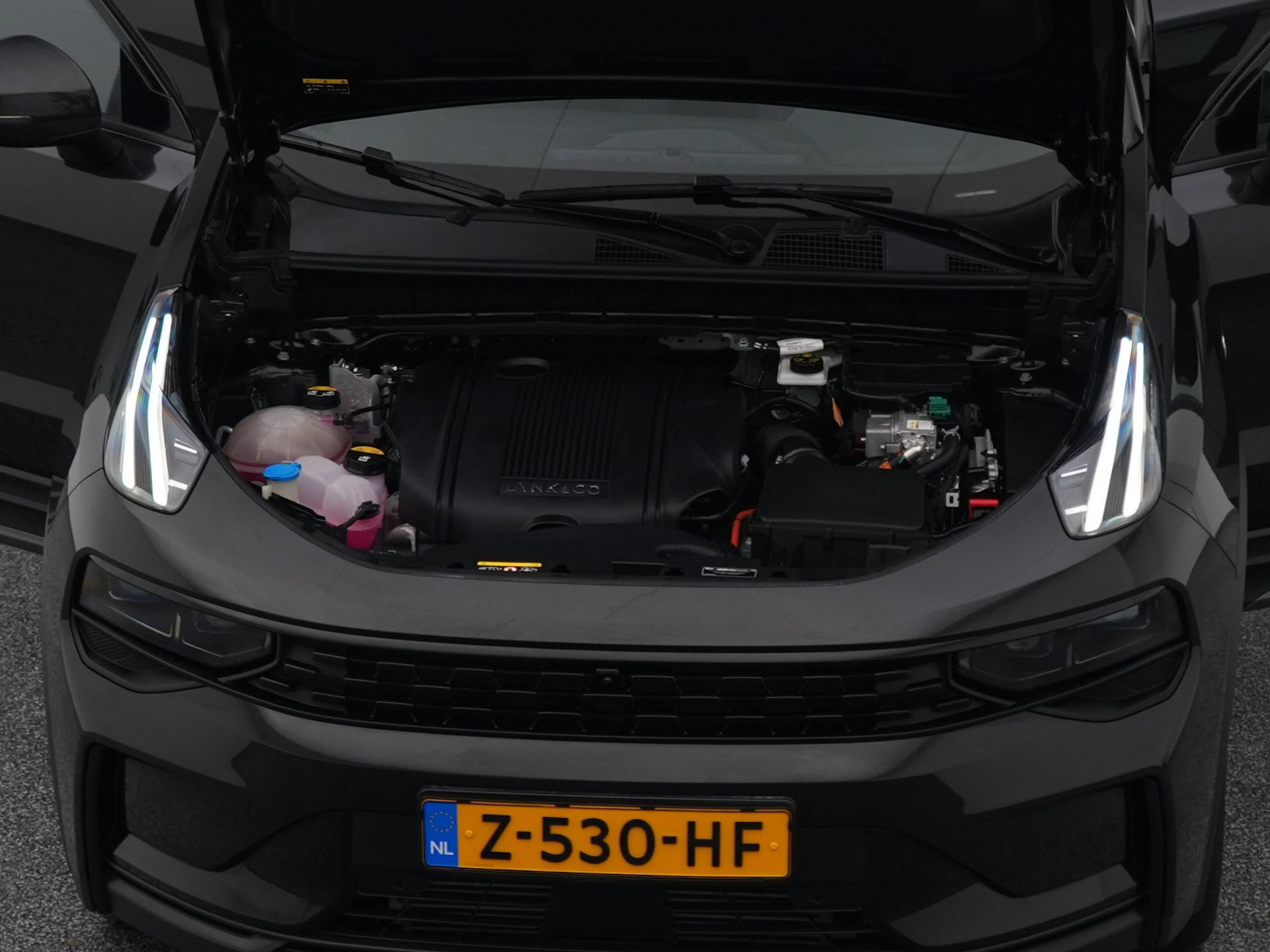 Auto afbeelding: 31