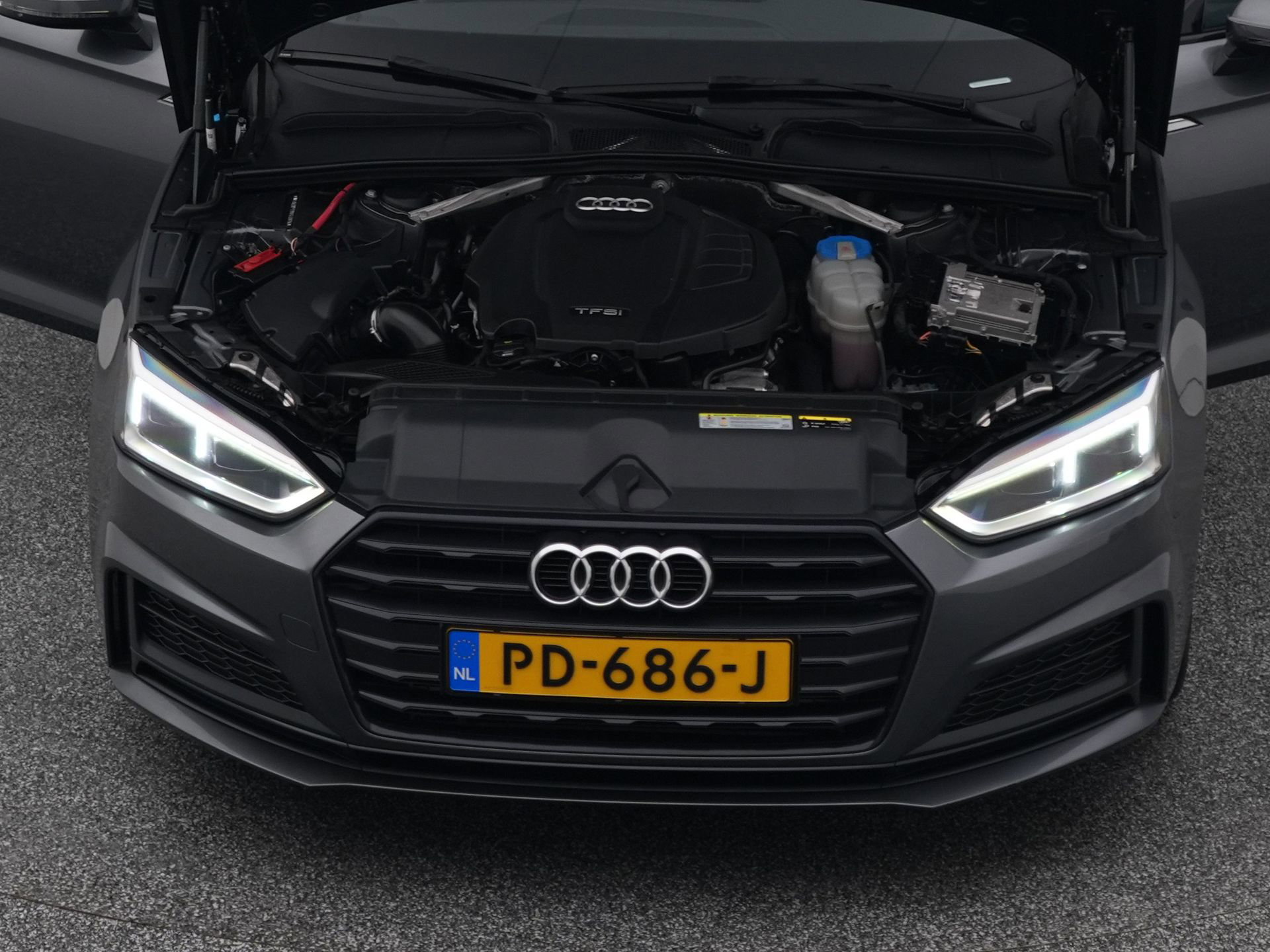 Auto afbeelding: 31