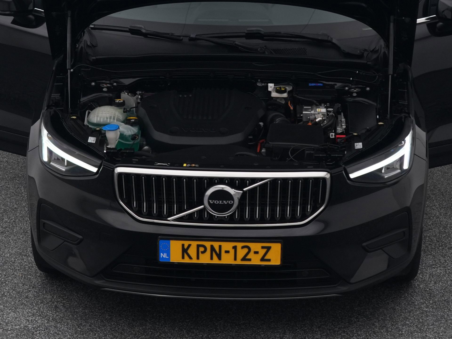 Auto afbeelding: 31