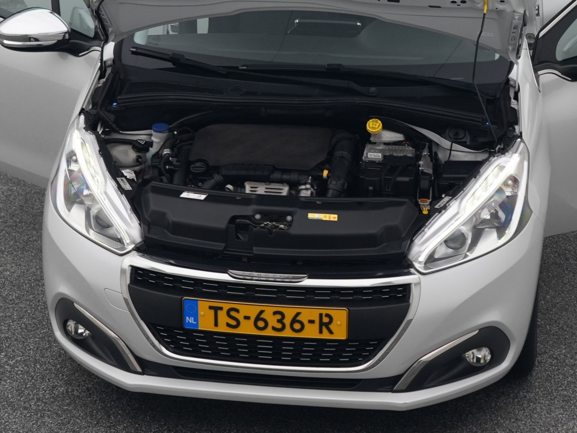 Auto afbeelding: 31