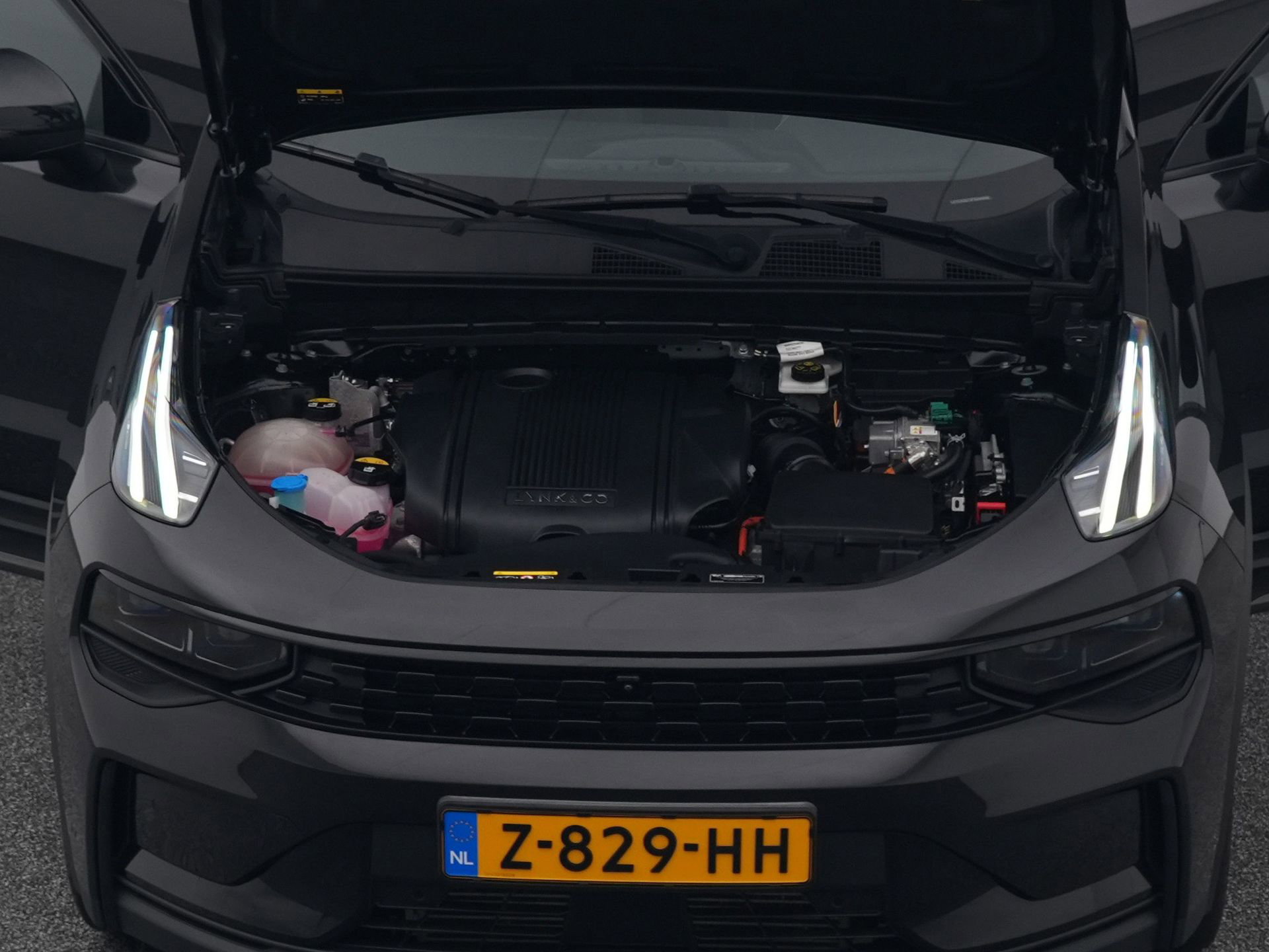 Auto afbeelding: 31